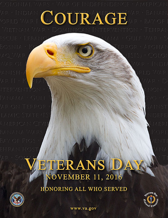 Visit the Veterans Day Home Page