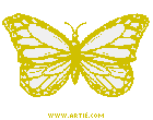 butterfly-yelwt