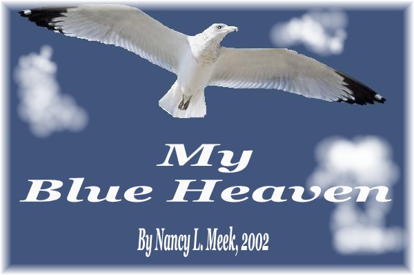 myblueheaven_nlm